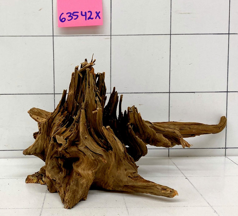 63542X - XINGU Wood Wurzelholz mit geschnittener Grundfläche