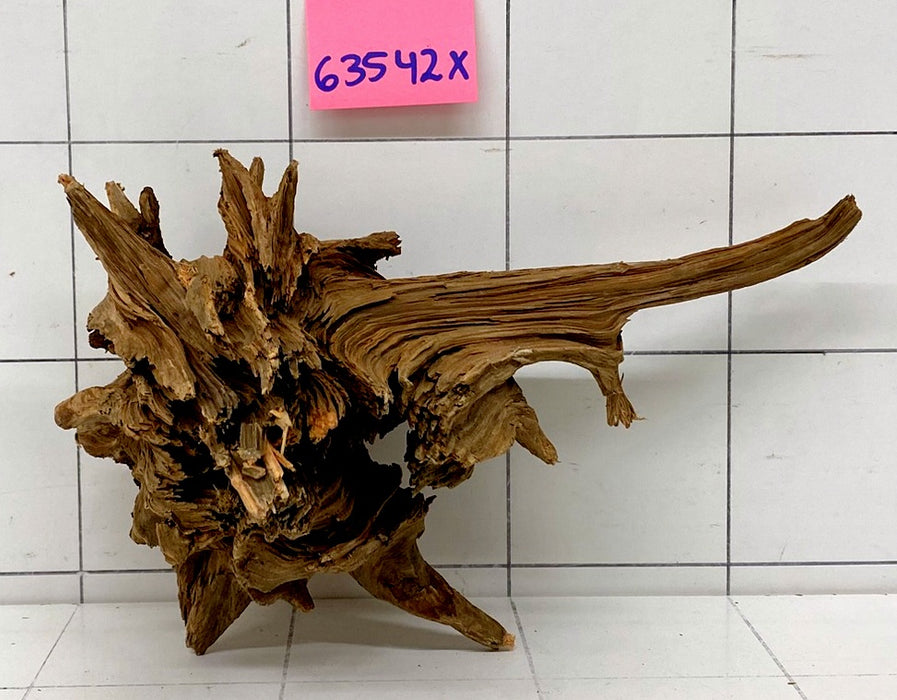 63542X - XINGU Wood Wurzelholz mit geschnittener Grundfläche