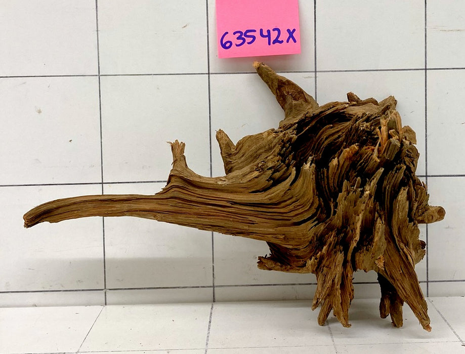 63542X - XINGU Wood Wurzelholz mit geschnittener Grundfläche