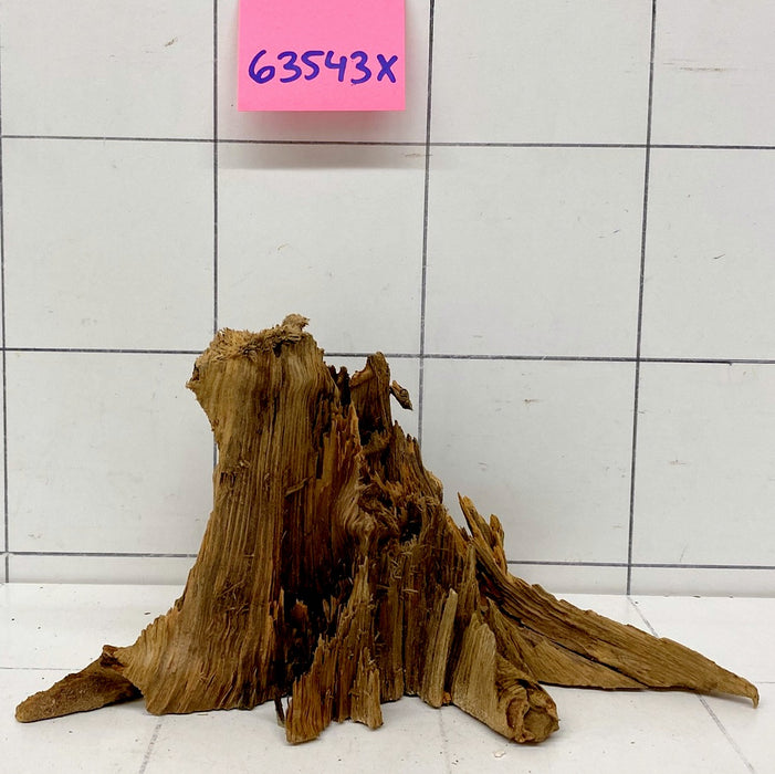 63543X - XINGU Wood Wurzelholz mit geschnittener Grundfläche