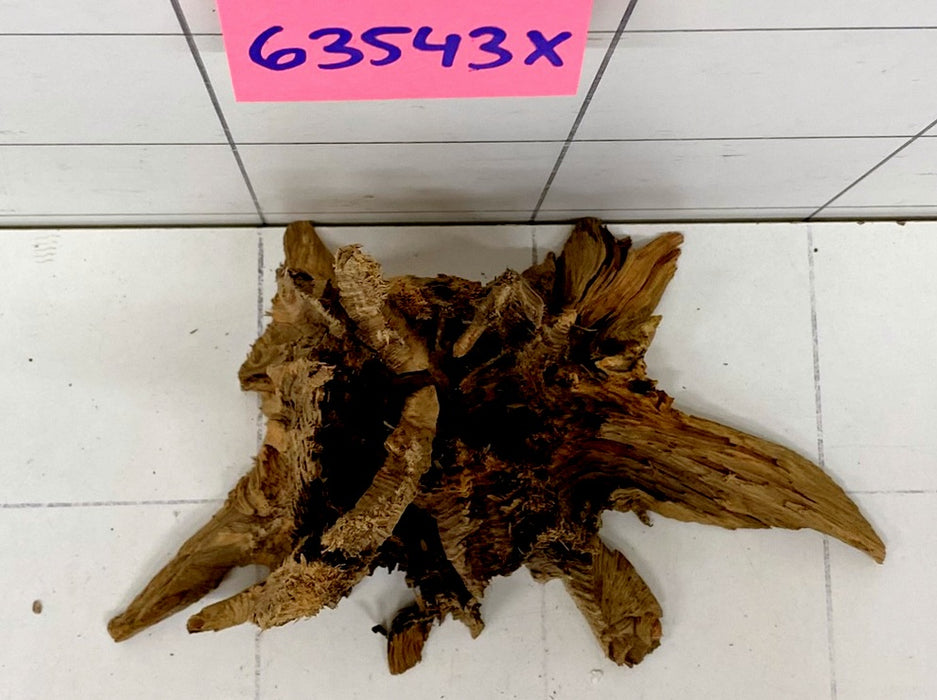 63543X - XINGU Wood Wurzelholz mit geschnittener Grundfläche