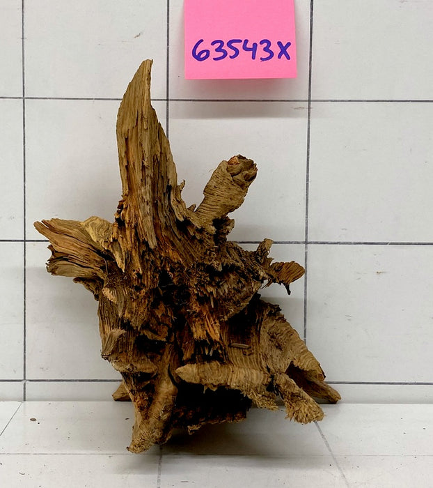 63543X - XINGU Wood Wurzelholz mit geschnittener Grundfläche