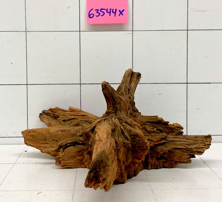 63544X - XINGU Wood Wurzelholz mit geschnittener Grundfläche
