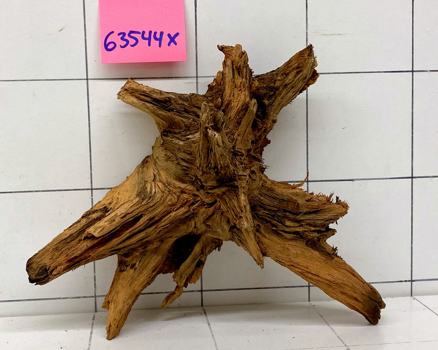 63544X - XINGU Wood Wurzelholz mit geschnittener Grundfläche