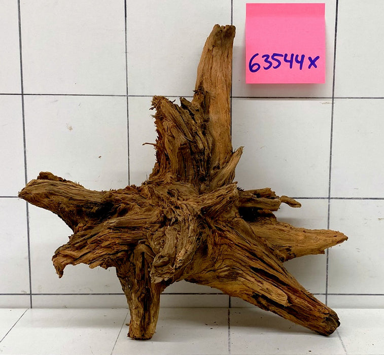 63544X - XINGU Wood Wurzelholz mit geschnittener Grundfläche