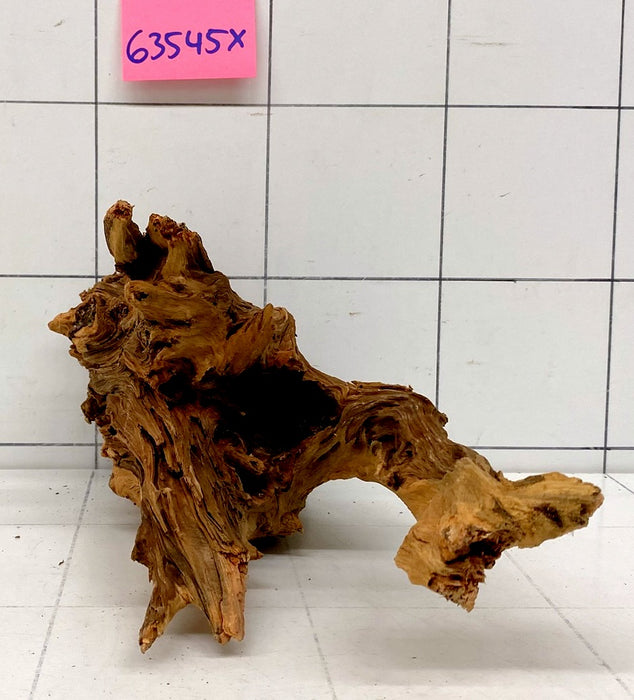 63545X - XINGU Wood Wurzelholz mit geschnittener Grundfläche
