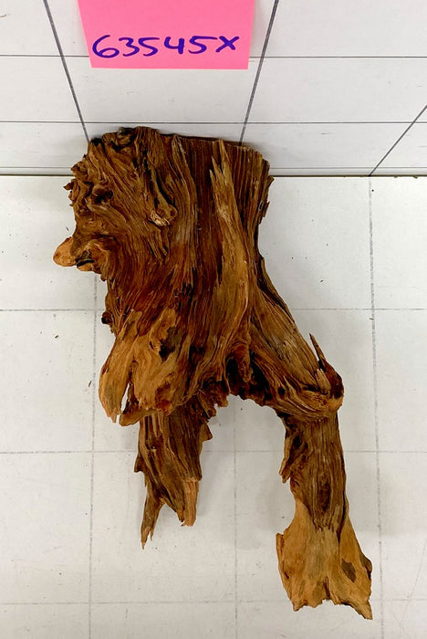 63545X - XINGU Wood Wurzelholz mit geschnittener Grundfläche