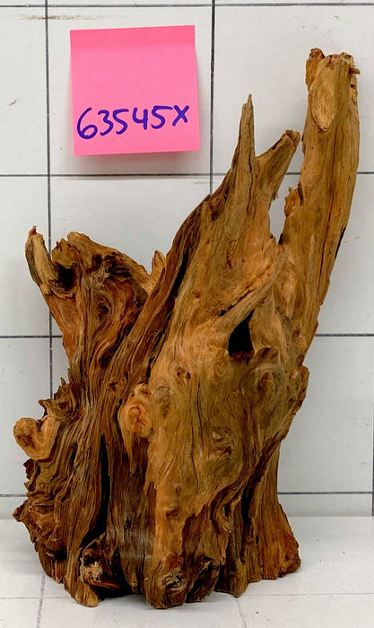 63545X - XINGU Wood Wurzelholz mit geschnittener Grundfläche