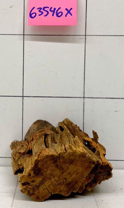 63546X - XINGU Wood Wurzelholz mit geschnittener Grundfläche