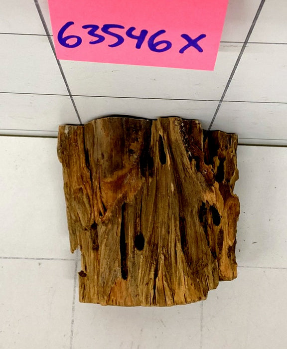 63546X - XINGU Wood Wurzelholz mit geschnittener Grundfläche