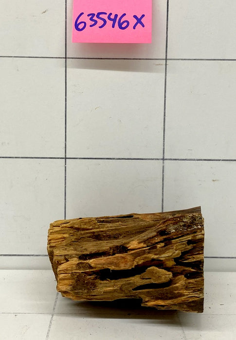 63546X - XINGU Wood Wurzelholz mit geschnittener Grundfläche