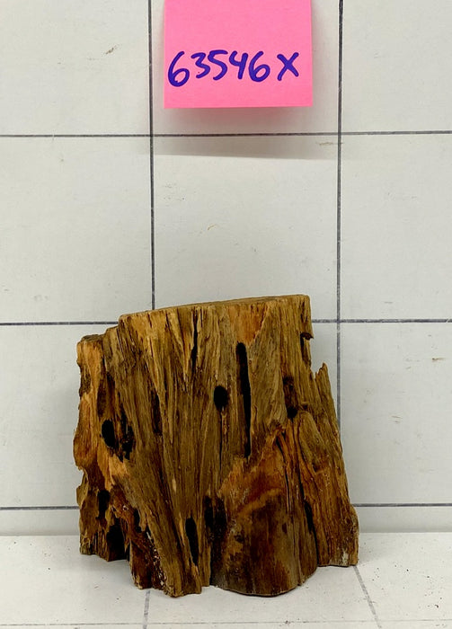 63546X - XINGU Wood Wurzelholz mit geschnittener Grundfläche