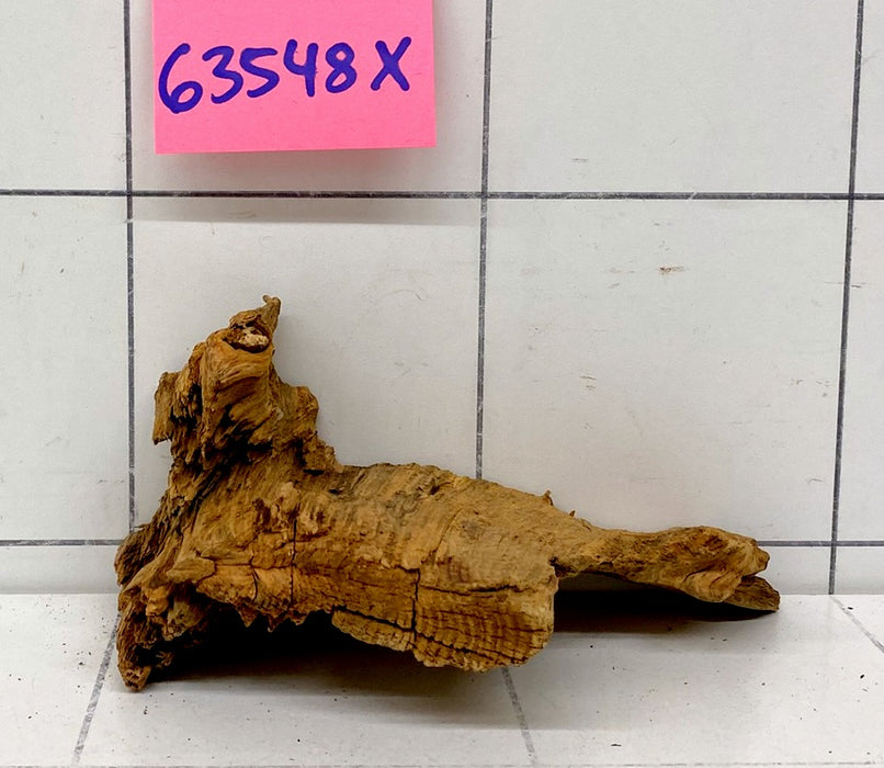63548X - XINGU Wood Wurzelholz mit geschnittener Grundfläche