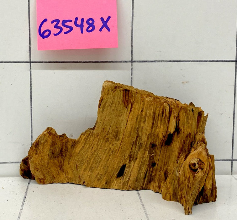 63548X - XINGU Wood Wurzelholz mit geschnittener Grundfläche