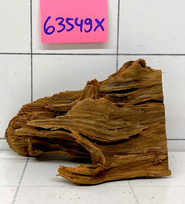 63549X - XINGU Wood Wurzelholz mit geschnittener Grundfläche