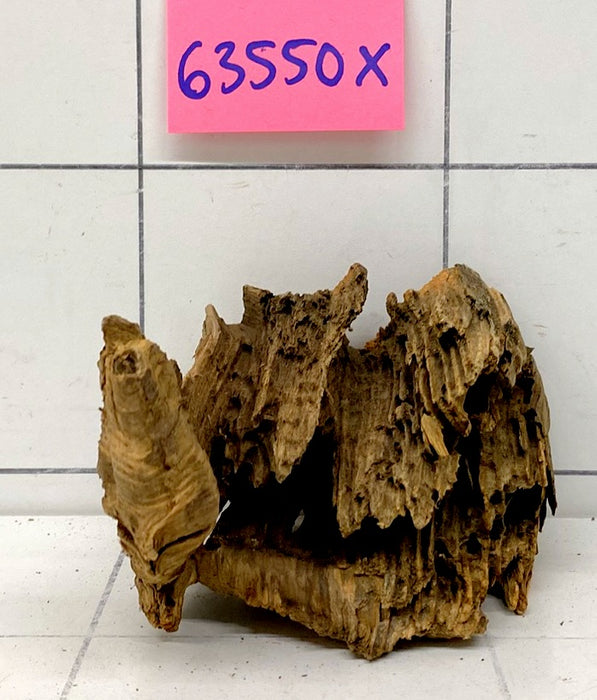 63550X - XINGU Wood Wurzelholz mit geschnittener Grundfläche