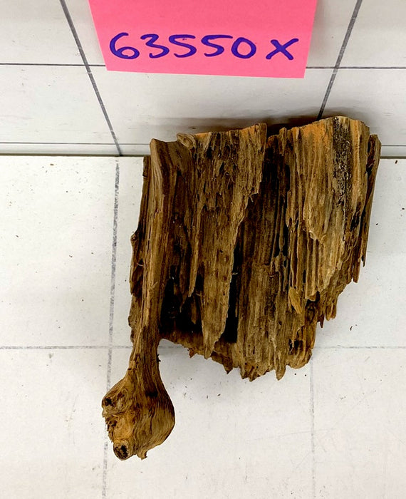 63550X - XINGU Wood Wurzelholz mit geschnittener Grundfläche