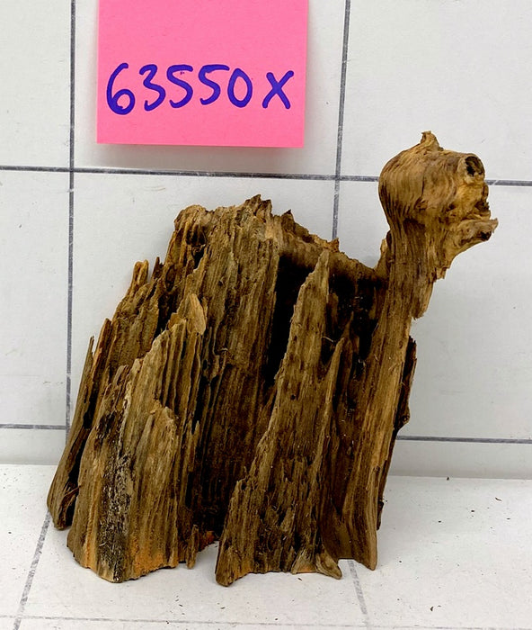 63550X - XINGU Wood Wurzelholz mit geschnittener Grundfläche