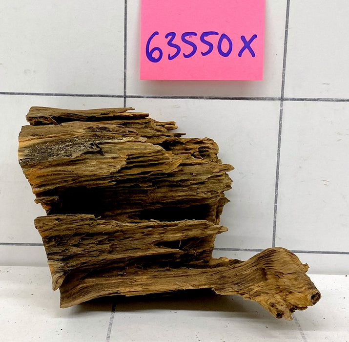 63550X - XINGU Wood Wurzelholz mit geschnittener Grundfläche