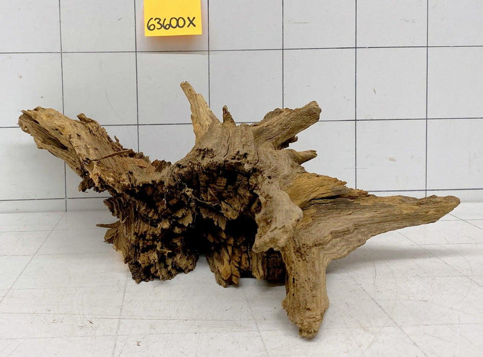 63600X - XINGU Wood Wurzelholz mit geschnittener Grundfläche