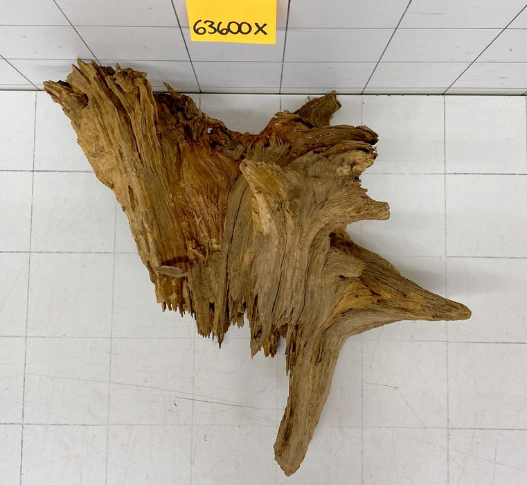 63600X - XINGU Wood Wurzelholz mit geschnittener Grundfläche