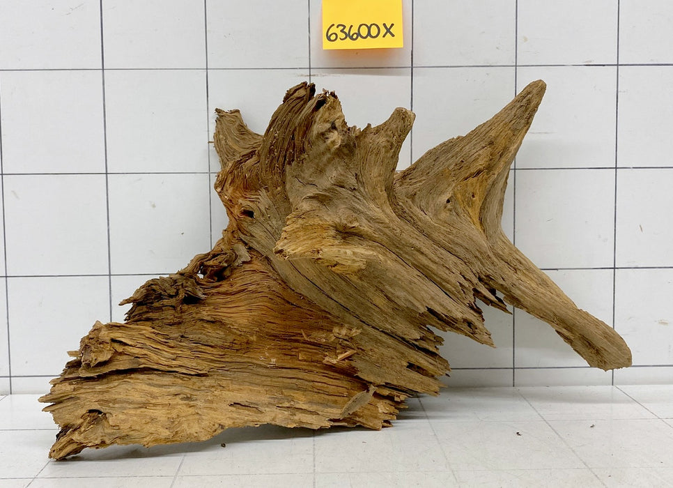 63600X - XINGU Wood Wurzelholz mit geschnittener Grundfläche