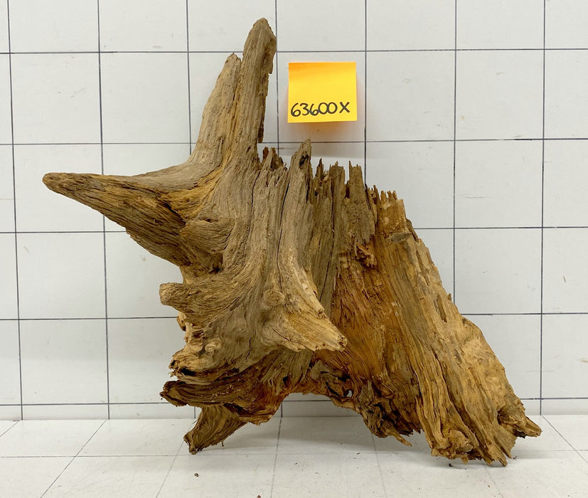 63600X - XINGU Wood Wurzelholz mit geschnittener Grundfläche