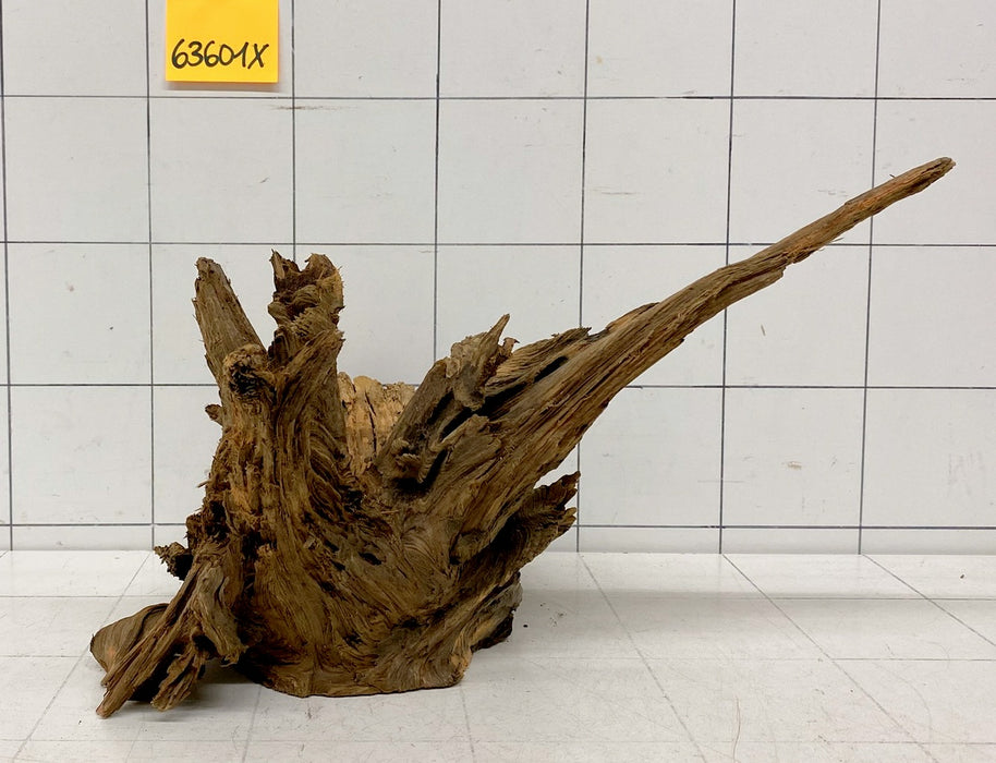 63601X - XINGU Wood Wurzelholz mit geschnittener Grundfläche