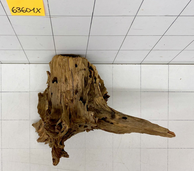 63601X - XINGU Wood Wurzelholz mit geschnittener Grundfläche