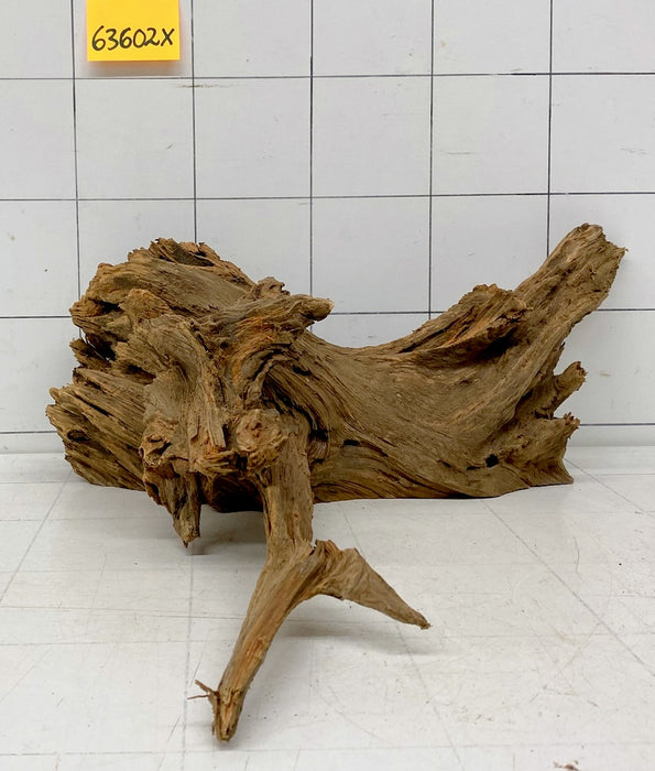 63602X - XINGU Wood Wurzelholz mit geschnittener Grundfläche