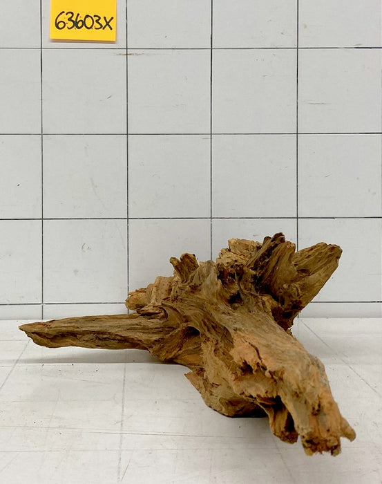 63603X - XINGU Wood Wurzelholz mit geschnittener Grundfläche