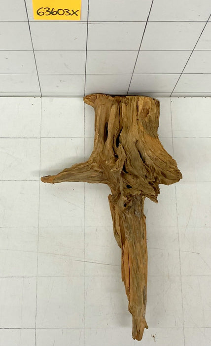63603X - XINGU Wood Wurzelholz mit geschnittener Grundfläche