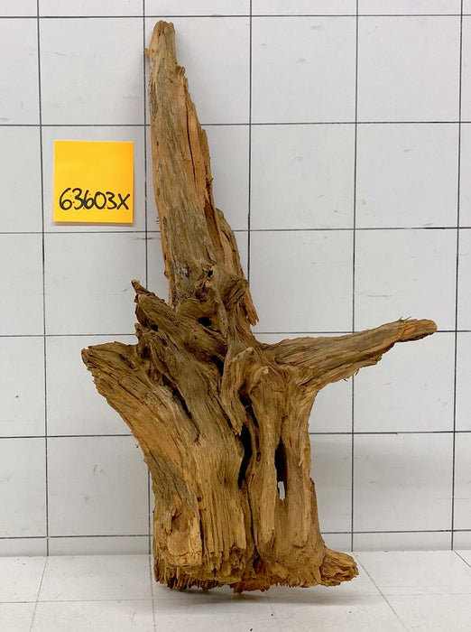 63603X - XINGU Wood Wurzelholz mit geschnittener Grundfläche