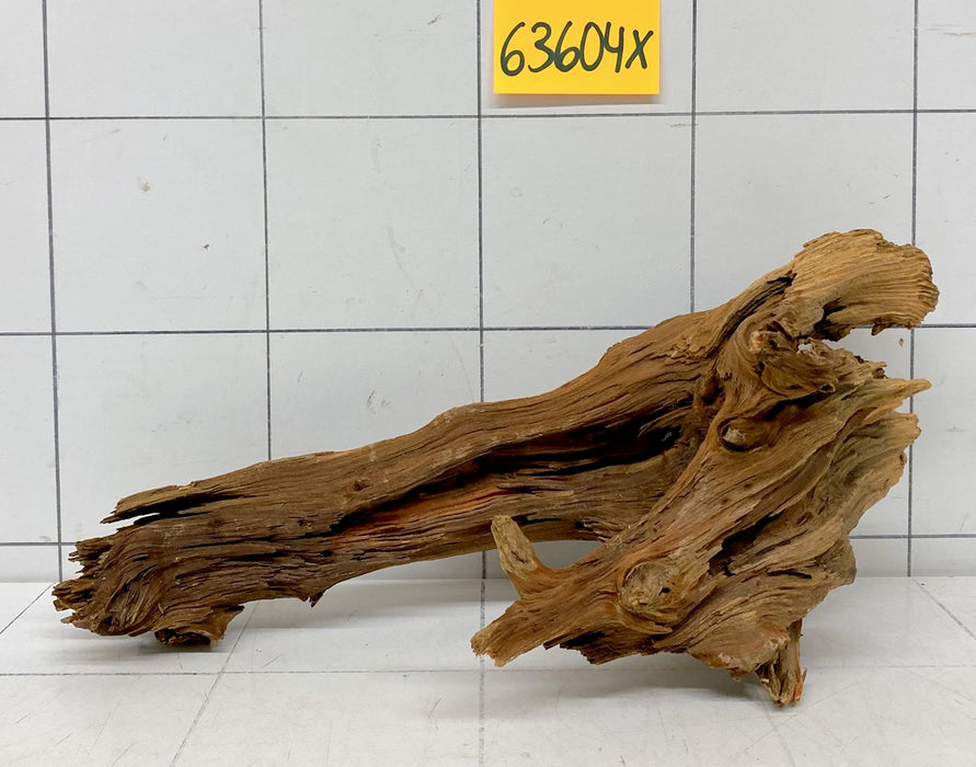 63604X - XINGU Wood Wurzelholz