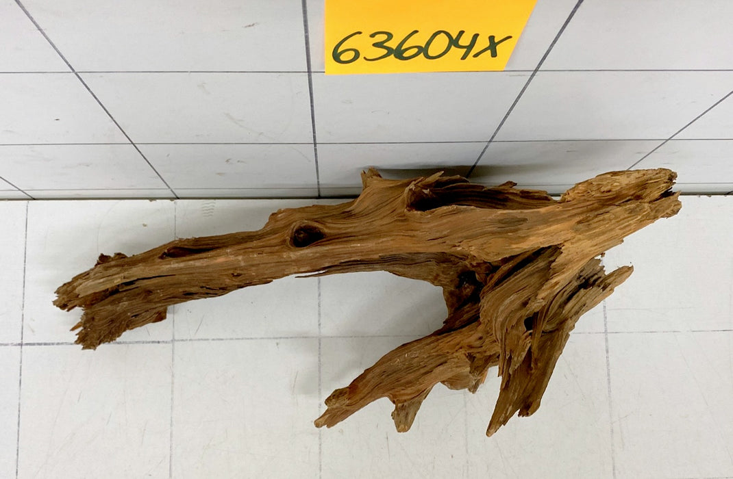 63604X - XINGU Wood Wurzelholz
