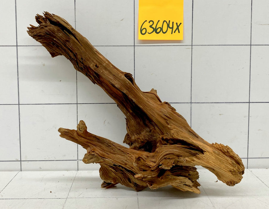 63604X - XINGU Wood Wurzelholz