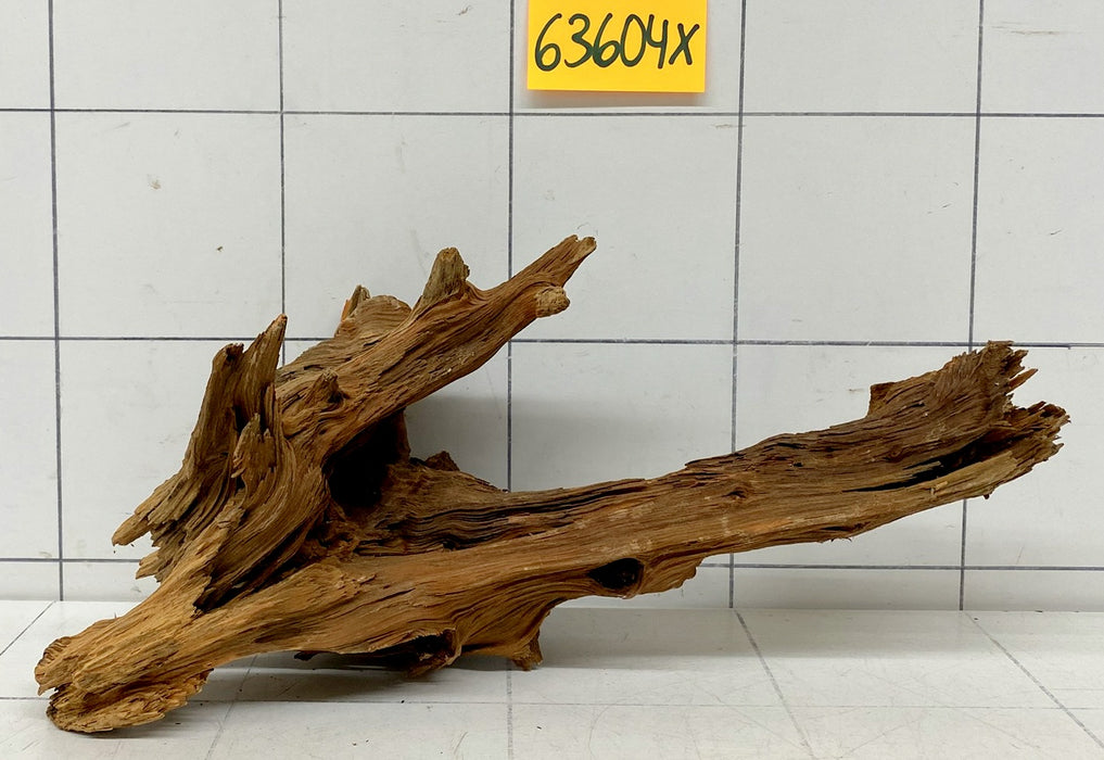 63604X - XINGU Wood Wurzelholz