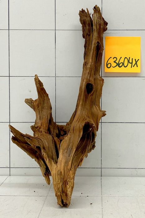 63604X - XINGU Wood Wurzelholz