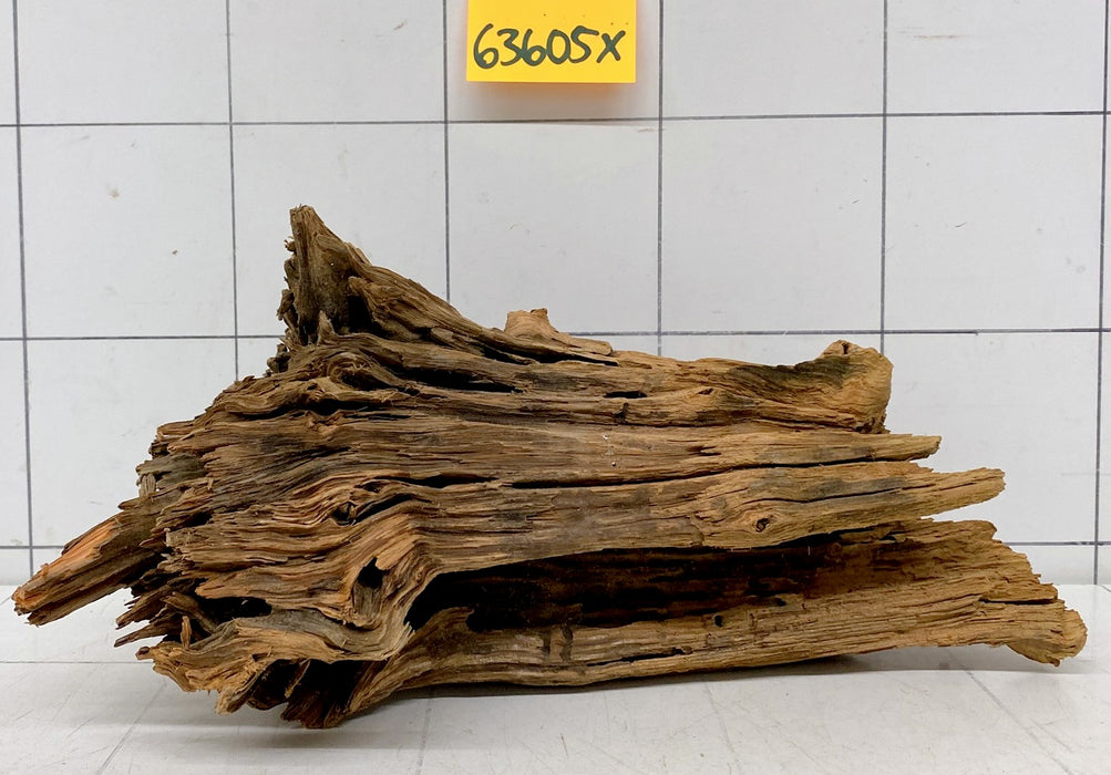 63605X - XINGU Wood Wurzelholz