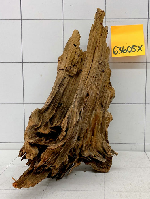 63605X - XINGU Wood Wurzelholz