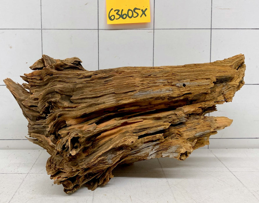 63605X - XINGU Wood Wurzelholz