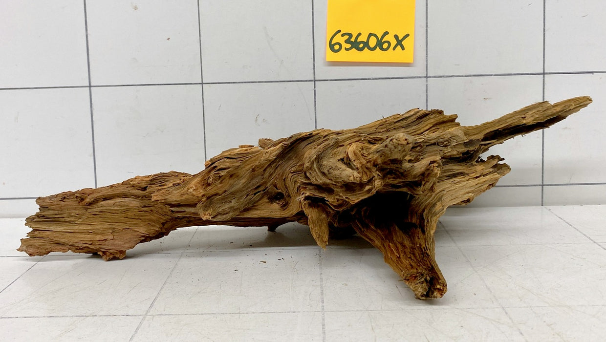 63606X - XINGU Wood Wurzelholz