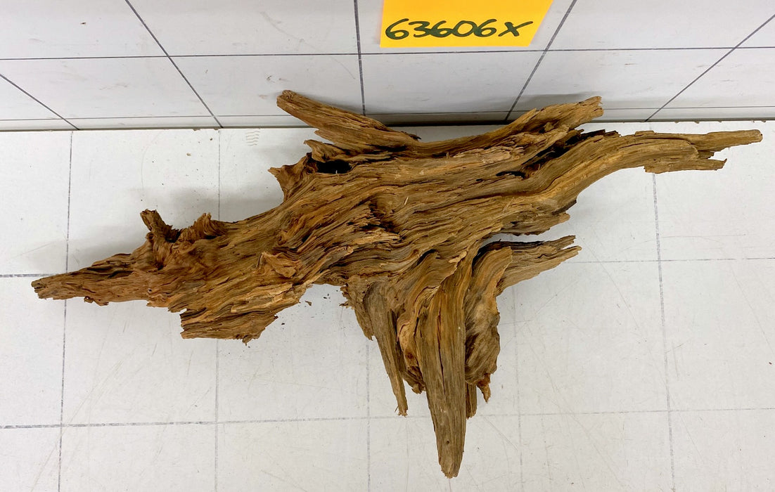 63606X - XINGU Wood Wurzelholz
