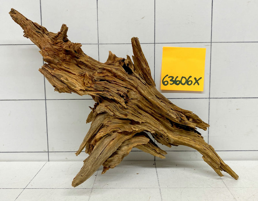 63606X - XINGU Wood Wurzelholz