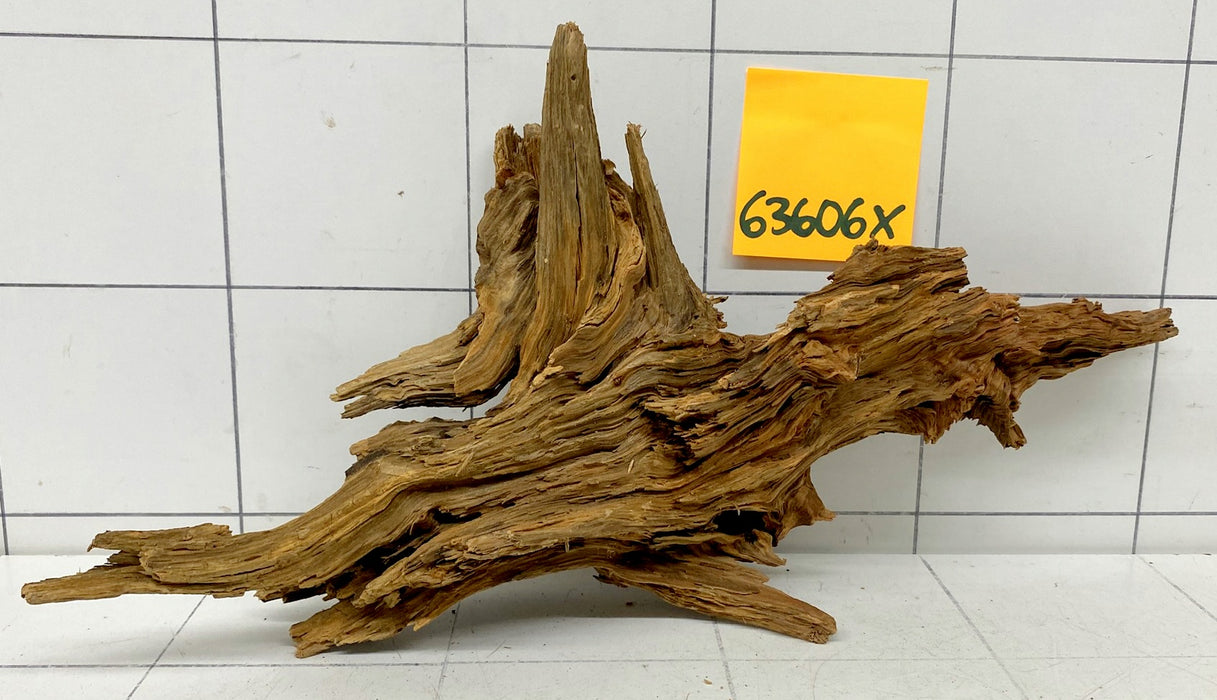 63606X - XINGU Wood Wurzelholz