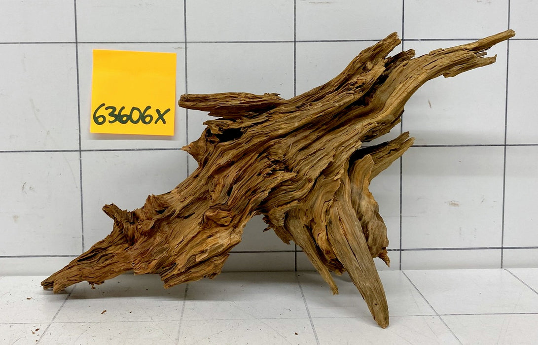63606X - XINGU Wood Wurzelholz