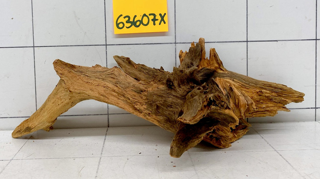 63607X - XINGU Wood Wurzelholz