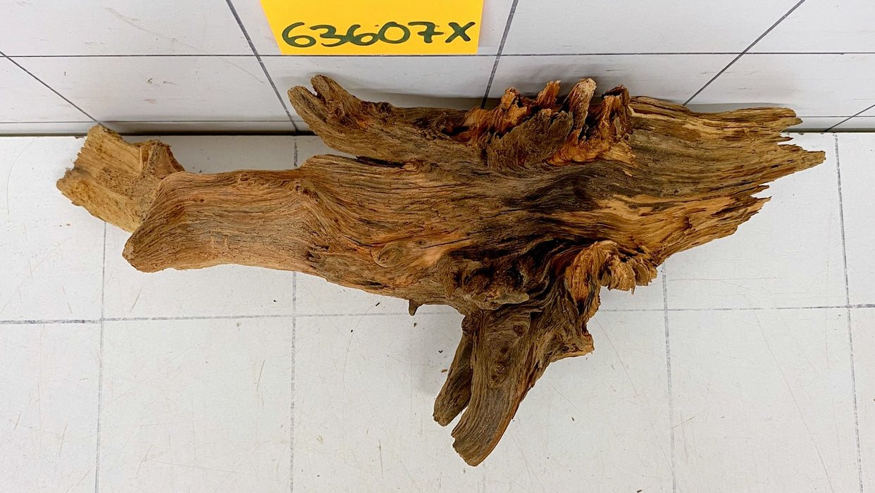63607X - XINGU Wood Wurzelholz