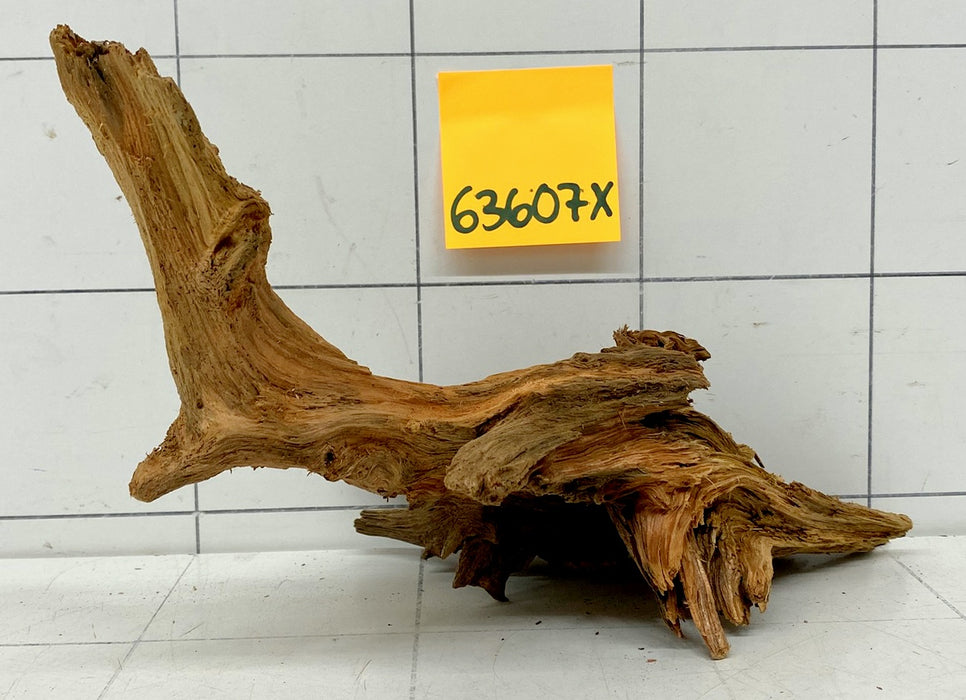 63607X - XINGU Wood Wurzelholz