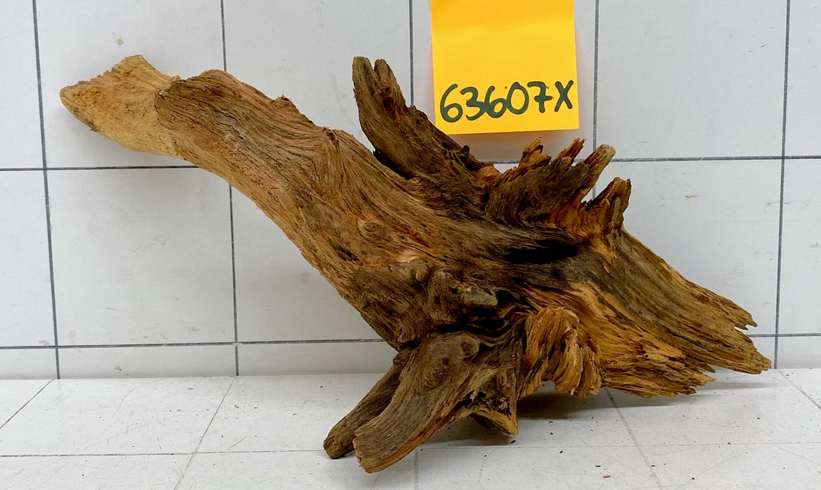 63607X - XINGU Wood Wurzelholz